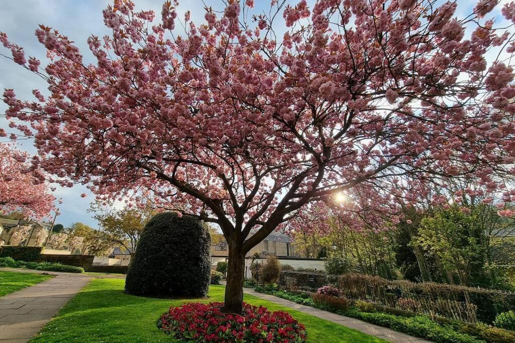Crystal Cottage - 5 Min Walk From Holmfirth Town Centre Eksteriør billede